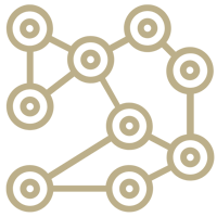 Network Network